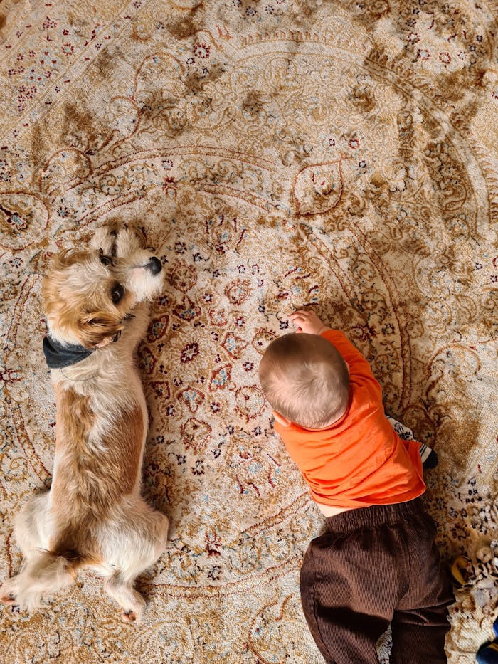Charming scene of a baby and small dog lying on a detailed, patterned carpet, showcasing friendship.